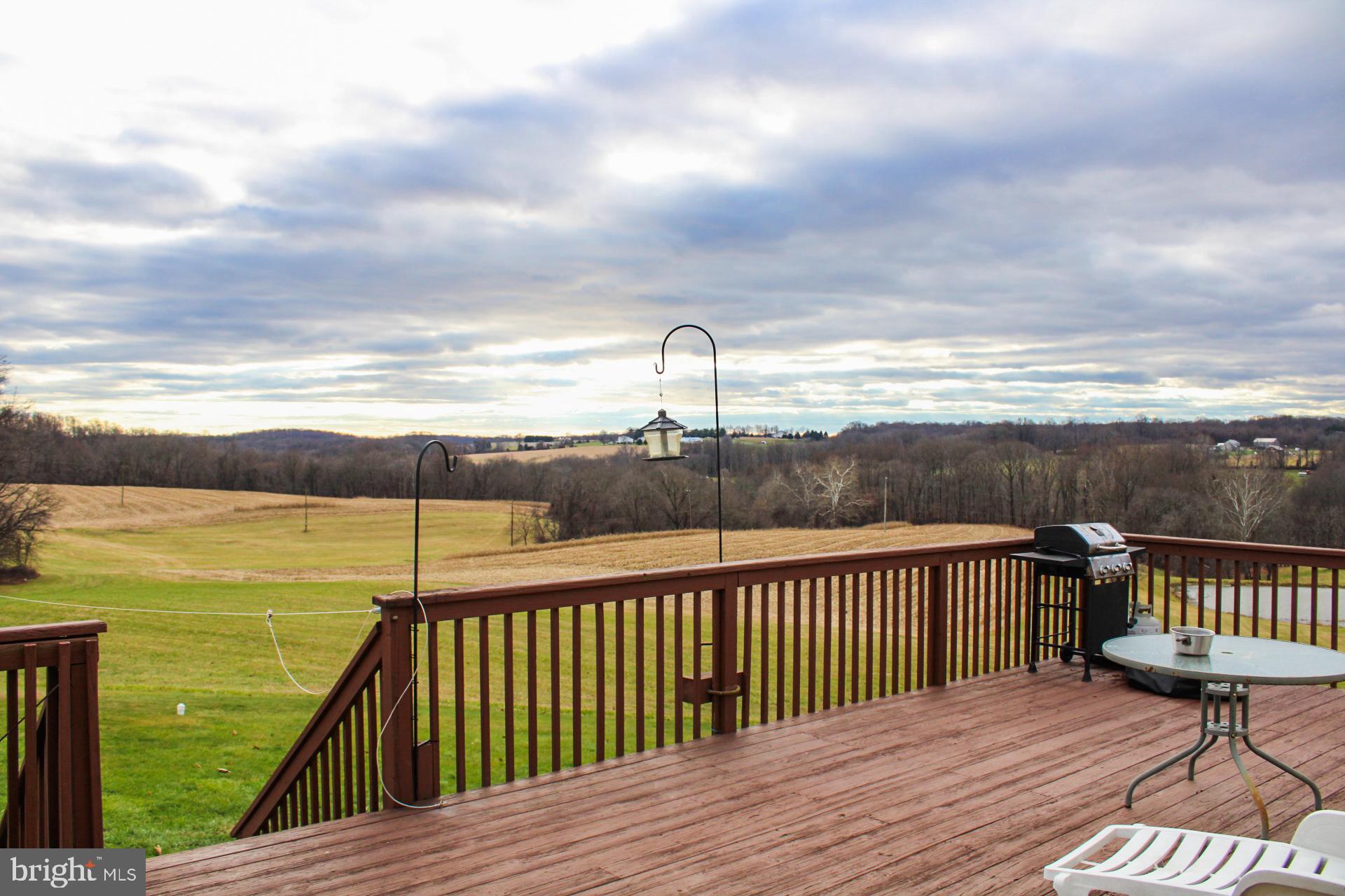 260 Providence Road Elkton, MD 21921 - Photo 3 of 33 Deck off eat in kitchen