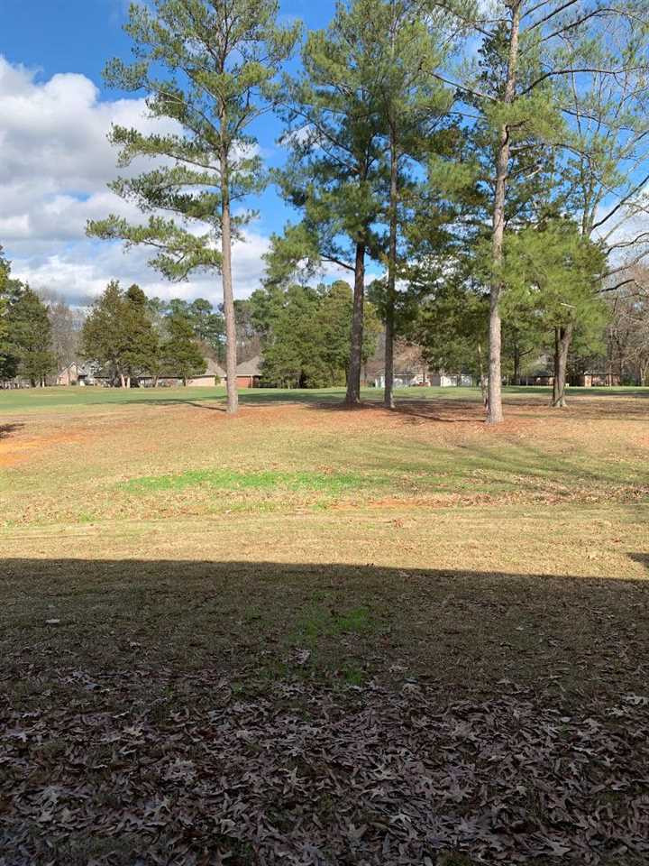 110 Pine Ridge Drive Canton, MS 39046 - Photo 45 of 45 Photo 45