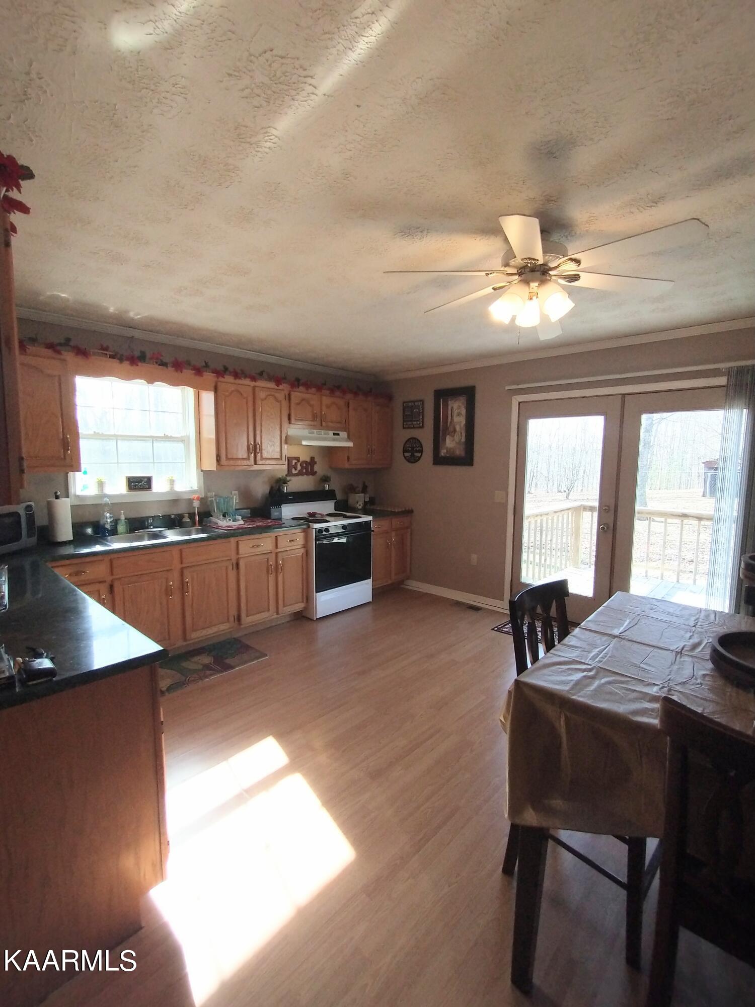559 Pea Ridge Road Sunbright, TN 37872 - Photo 8 of 14 IMG_20230128_120903133