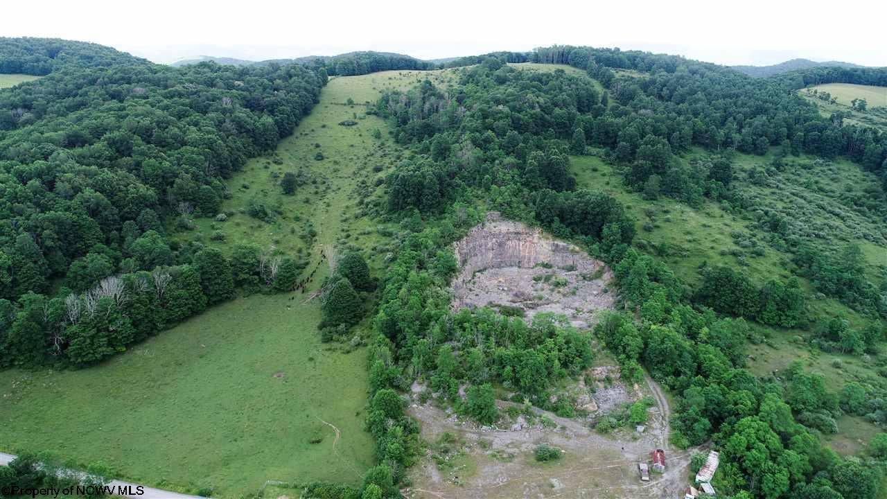 1 Back Mountain Road Durbin, WV 26264 - Photo 4 of 25 Gallery Image 4