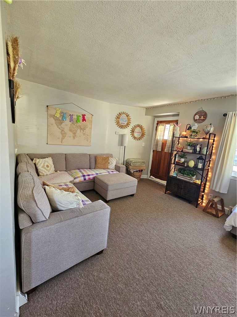 3071 Lyth Road Hamburg, NY 14218 - Photo 4 of 12