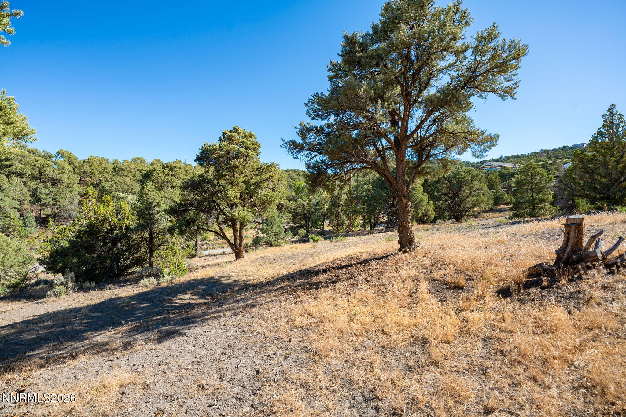 21630 Sazarac Road Reno, NV 89521 - Photo 4 of 21 7-web-or-mls-A7402390