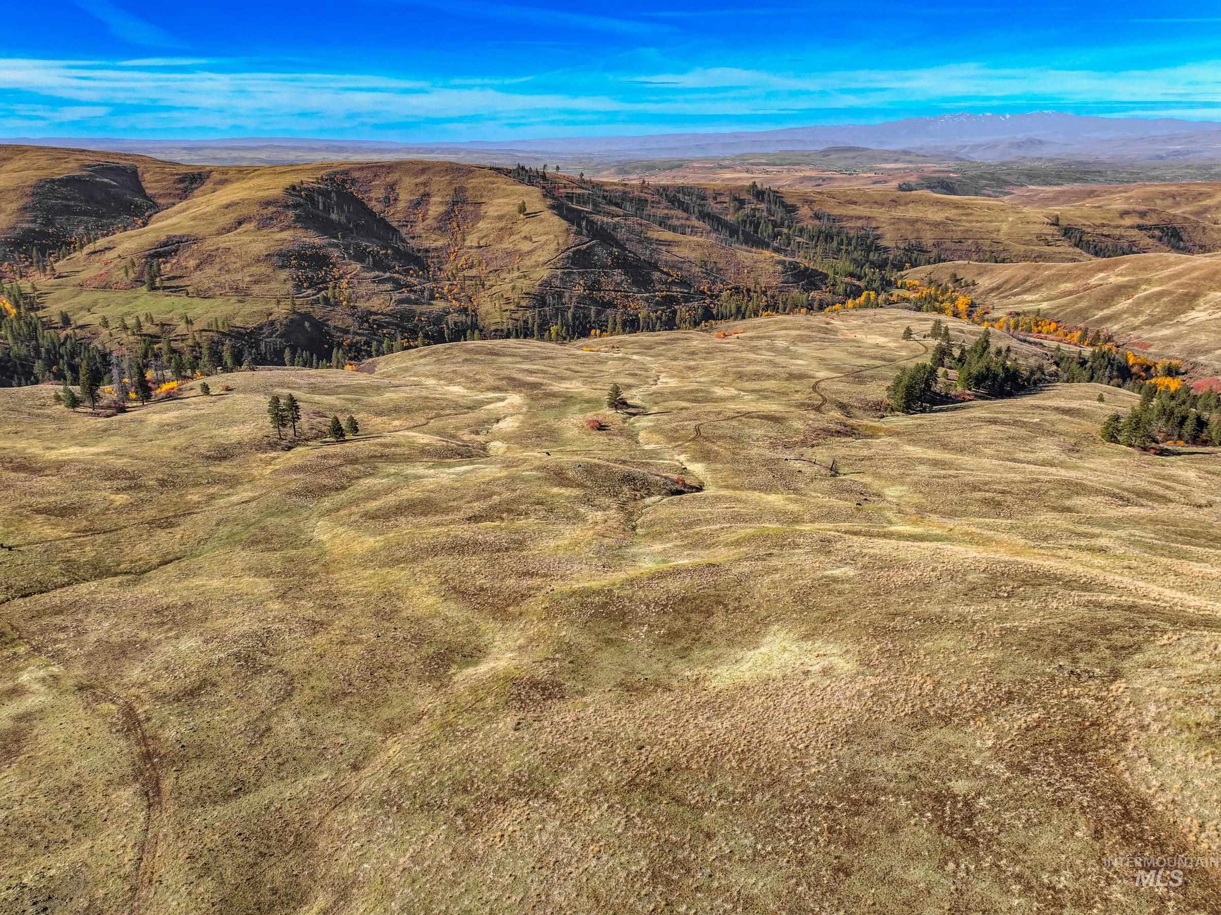 255-ac Fall Creek Road Council, ID 83612 - Photo 11 of 50 View of mountain background