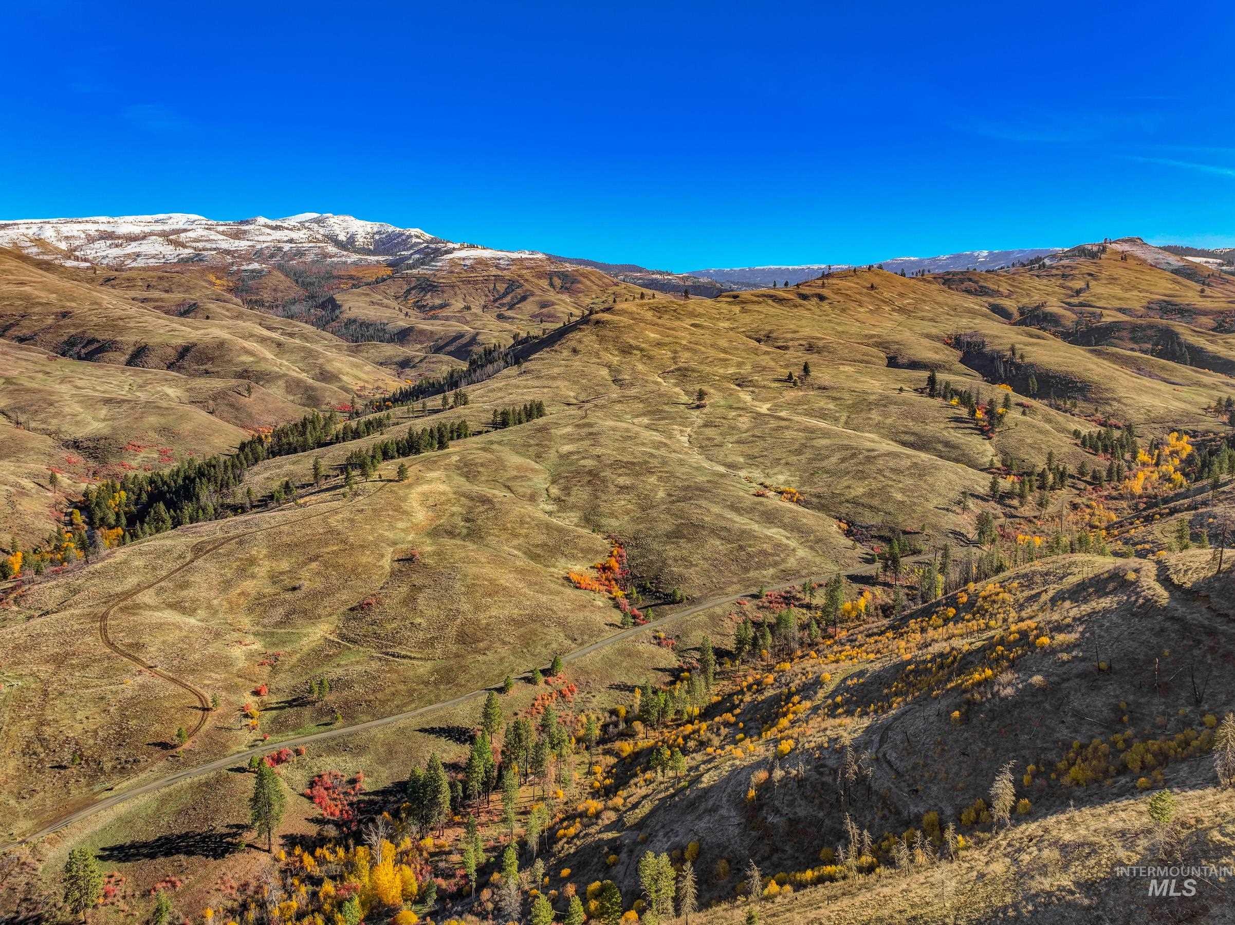 255-ac Fall Creek Road Council, ID 83612 - Photo 12 of 50 View of mountain backdrop