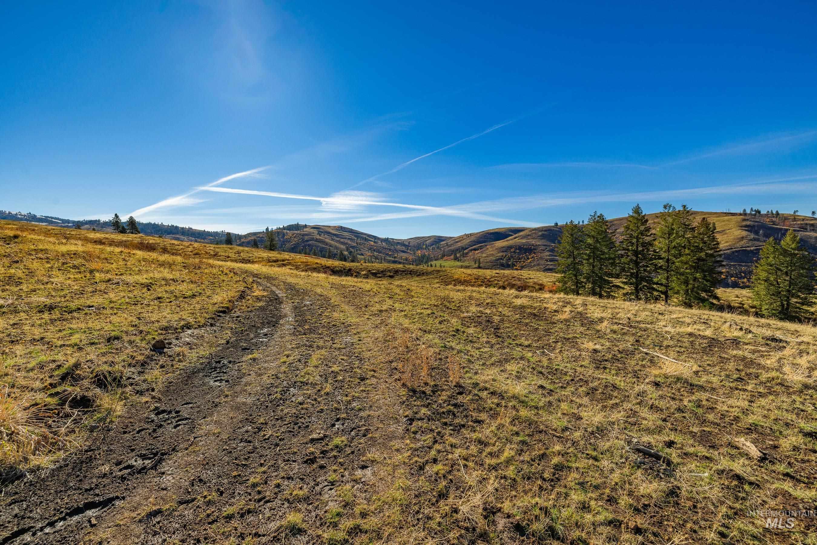 255-ac Fall Creek Road Council, ID 83612 - Photo 13 of 50 View of mountain background with rural landscape
