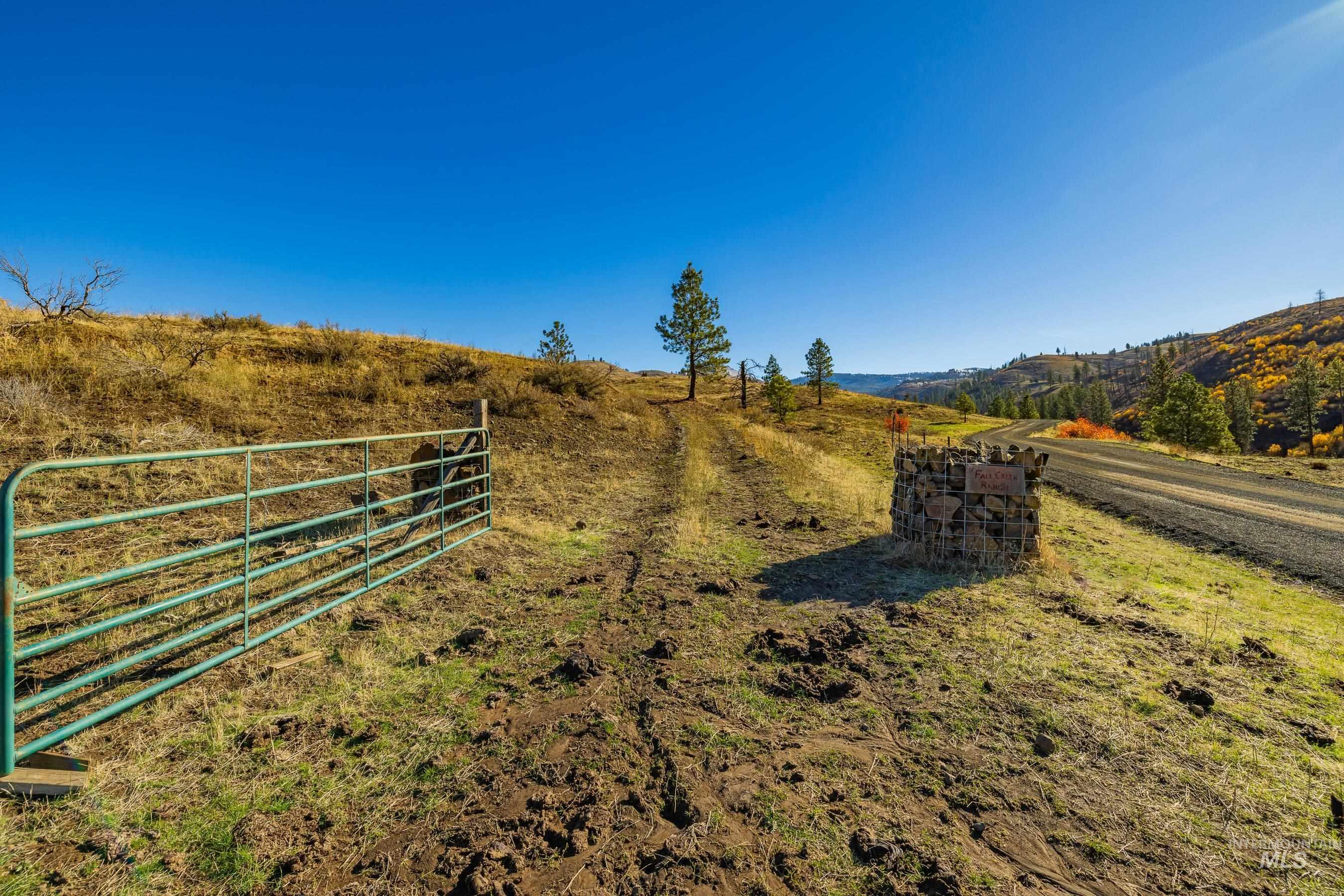 255-ac Fall Creek Road Council, ID 83612 - Photo 14 of 50 View of yard featuring a rural view