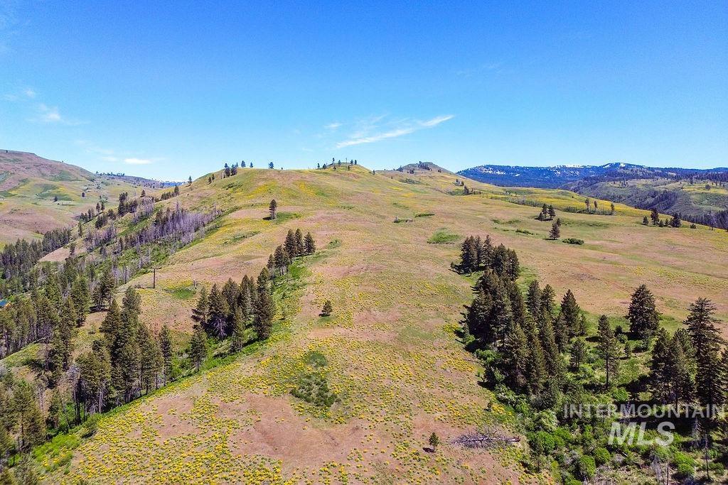 255-ac Fall Creek Road Council, ID 83612 - Photo 15 of 50 View of mountain backdrop