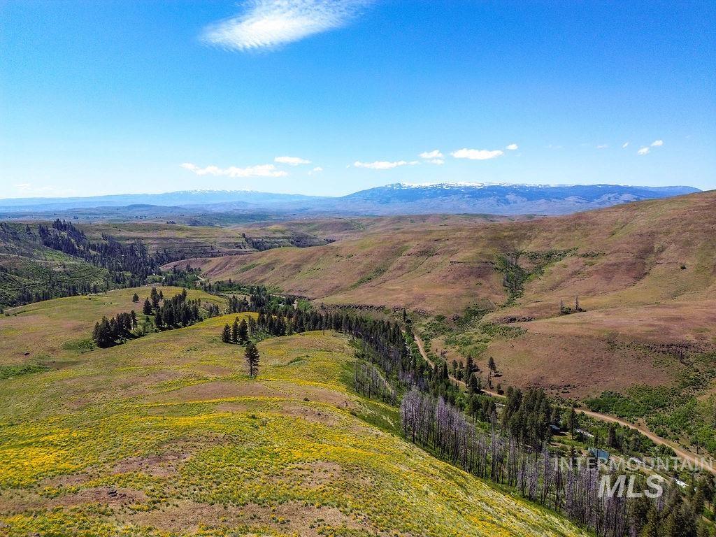 255-ac Fall Creek Road Council, ID 83612 - Photo 19 of 50 Mountain view
