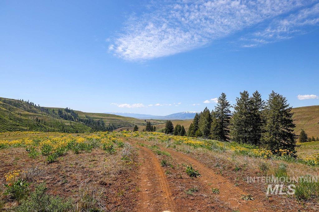 255-ac Fall Creek Road Council, ID 83612 - Photo 21 of 50 View of mountain background with rural landscape