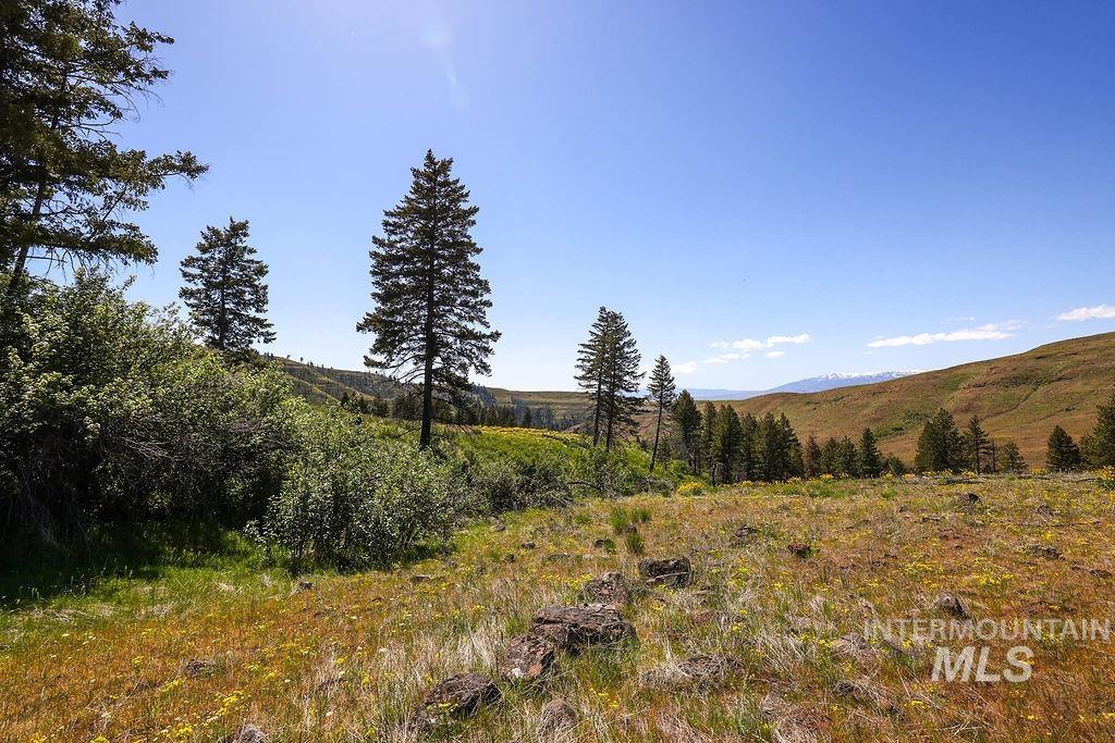 255-ac Fall Creek Road Council, ID 83612 - Photo 23 of 50 View of mountain backdrop with rural landscape