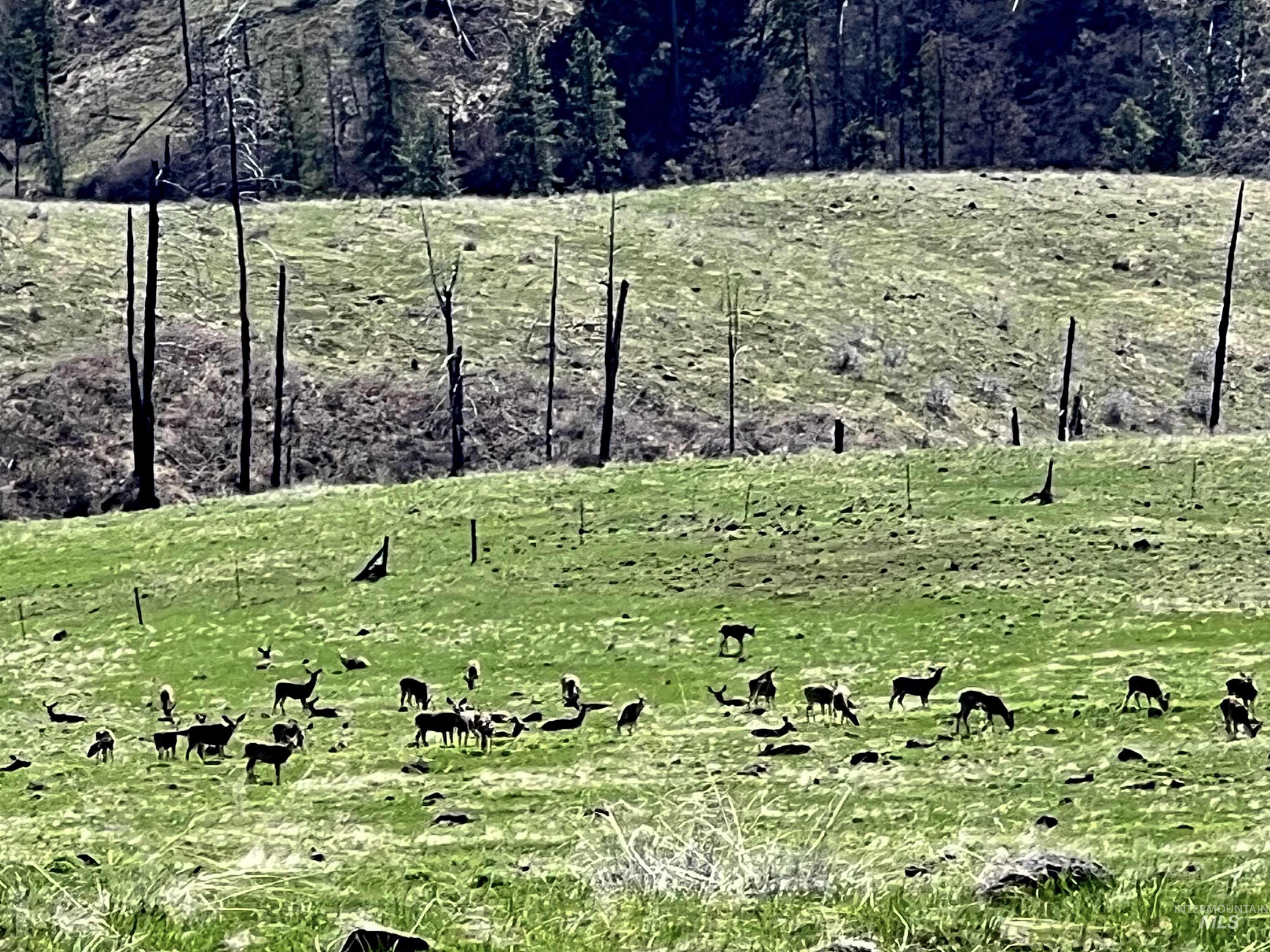 255-ac Fall Creek Road Council, ID 83612 - Photo 26 of 50