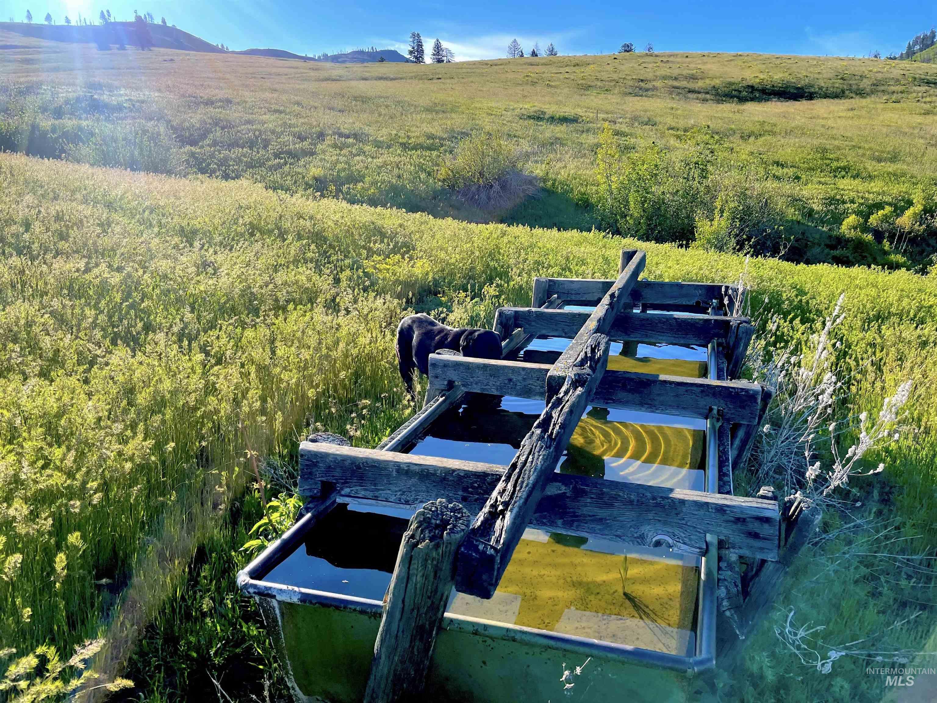 255-ac Fall Creek Road Council, ID 83612 - Photo 31 of 50