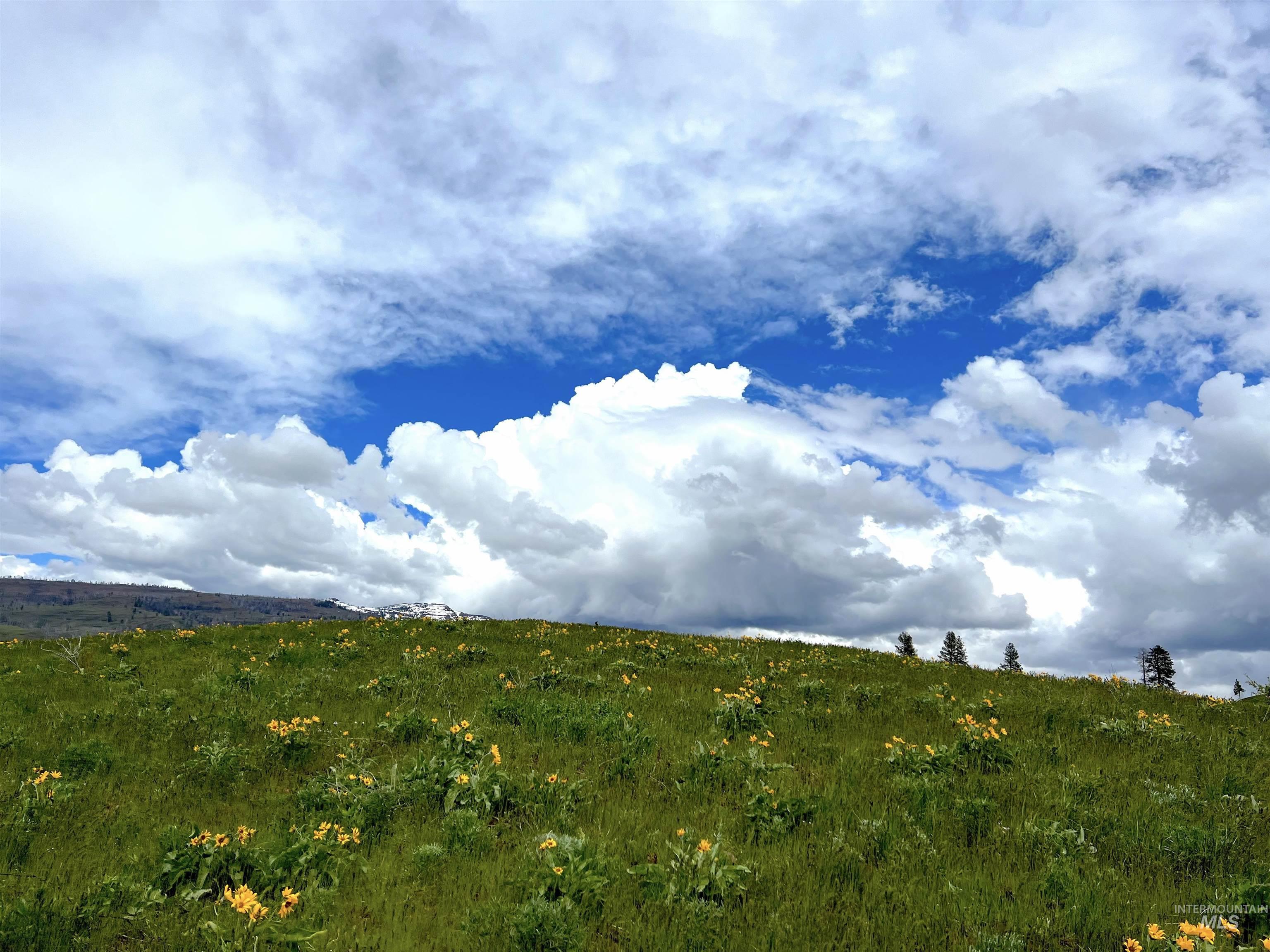 255-ac Fall Creek Road Council, ID 83612 - Photo 34 of 50