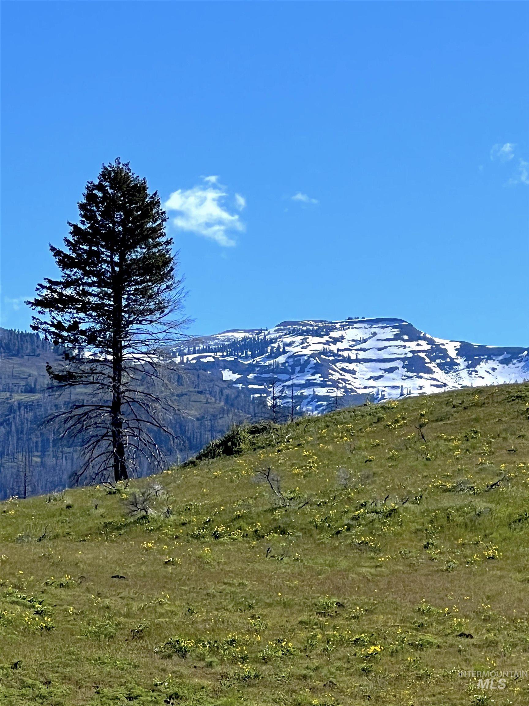255-ac Fall Creek Road Council, ID 83612 - Photo 36 of 50