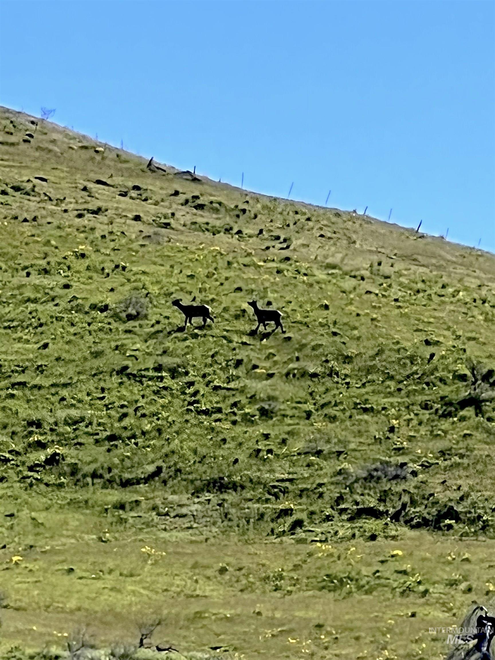 255-ac Fall Creek Road Council, ID 83612 - Photo 37 of 50