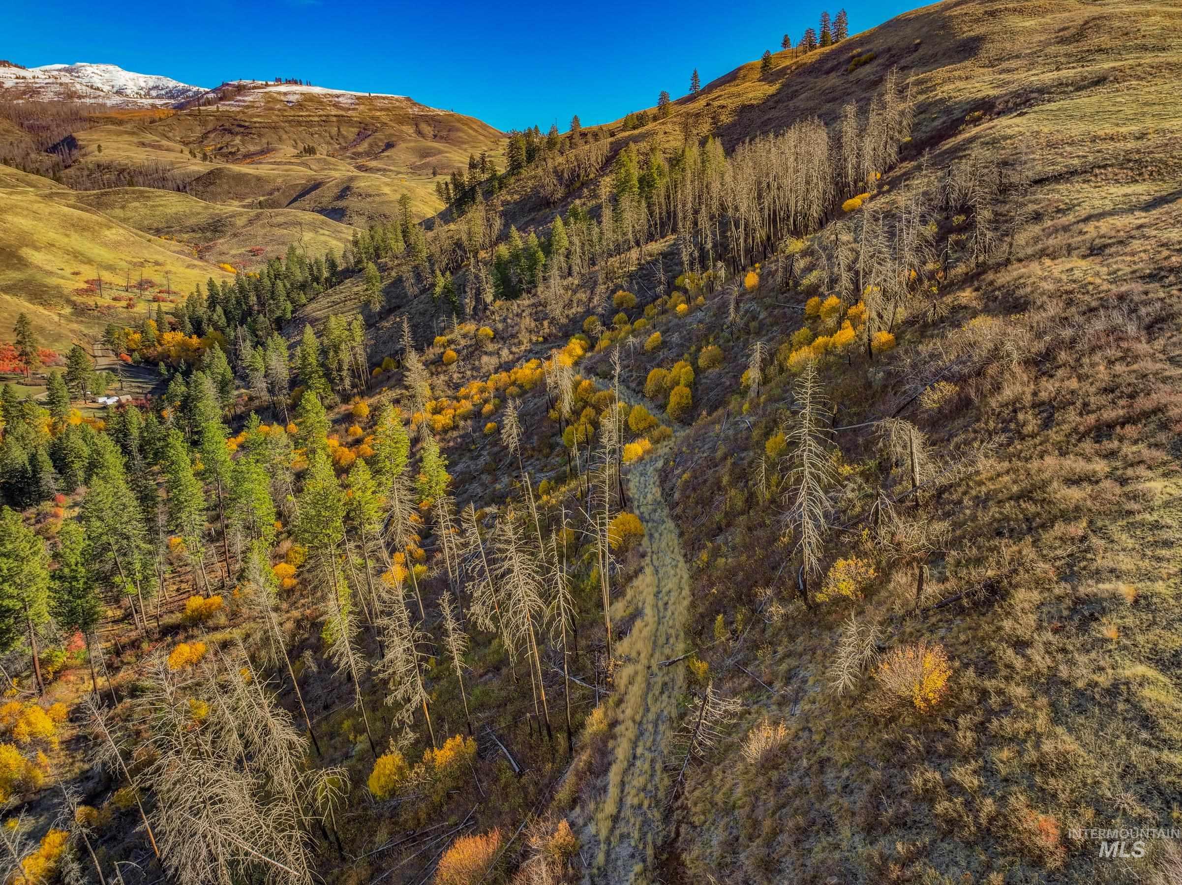 255-ac Fall Creek Road Council, ID 83612 - Photo 4 of 50 View of mountain backdrop