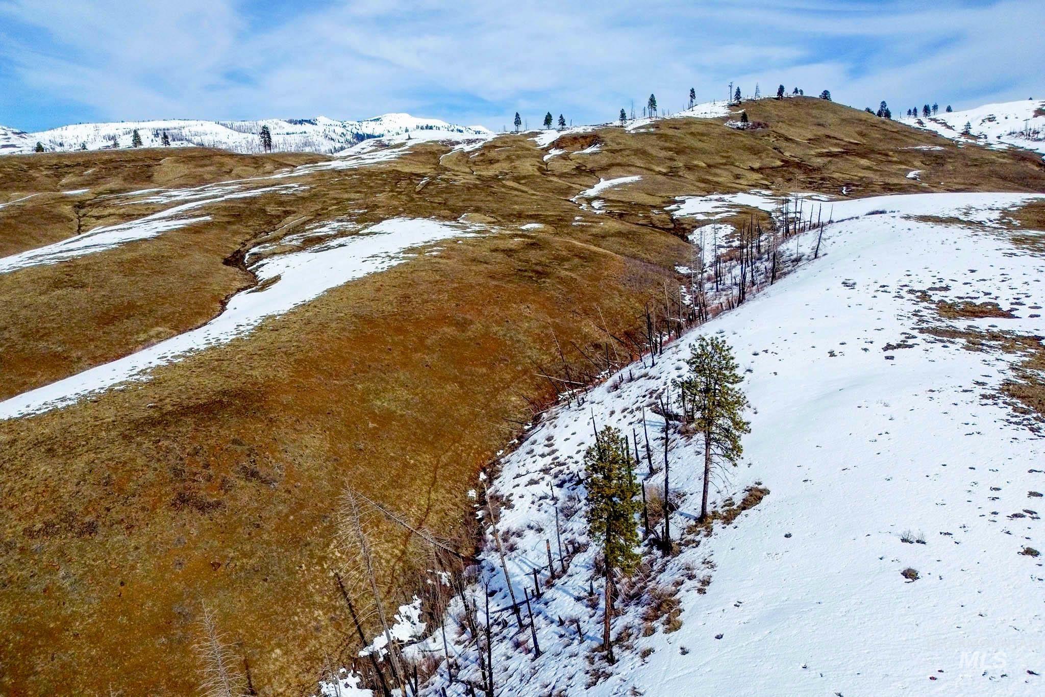 255-ac Fall Creek Road Council, ID 83612 - Photo 42 of 50