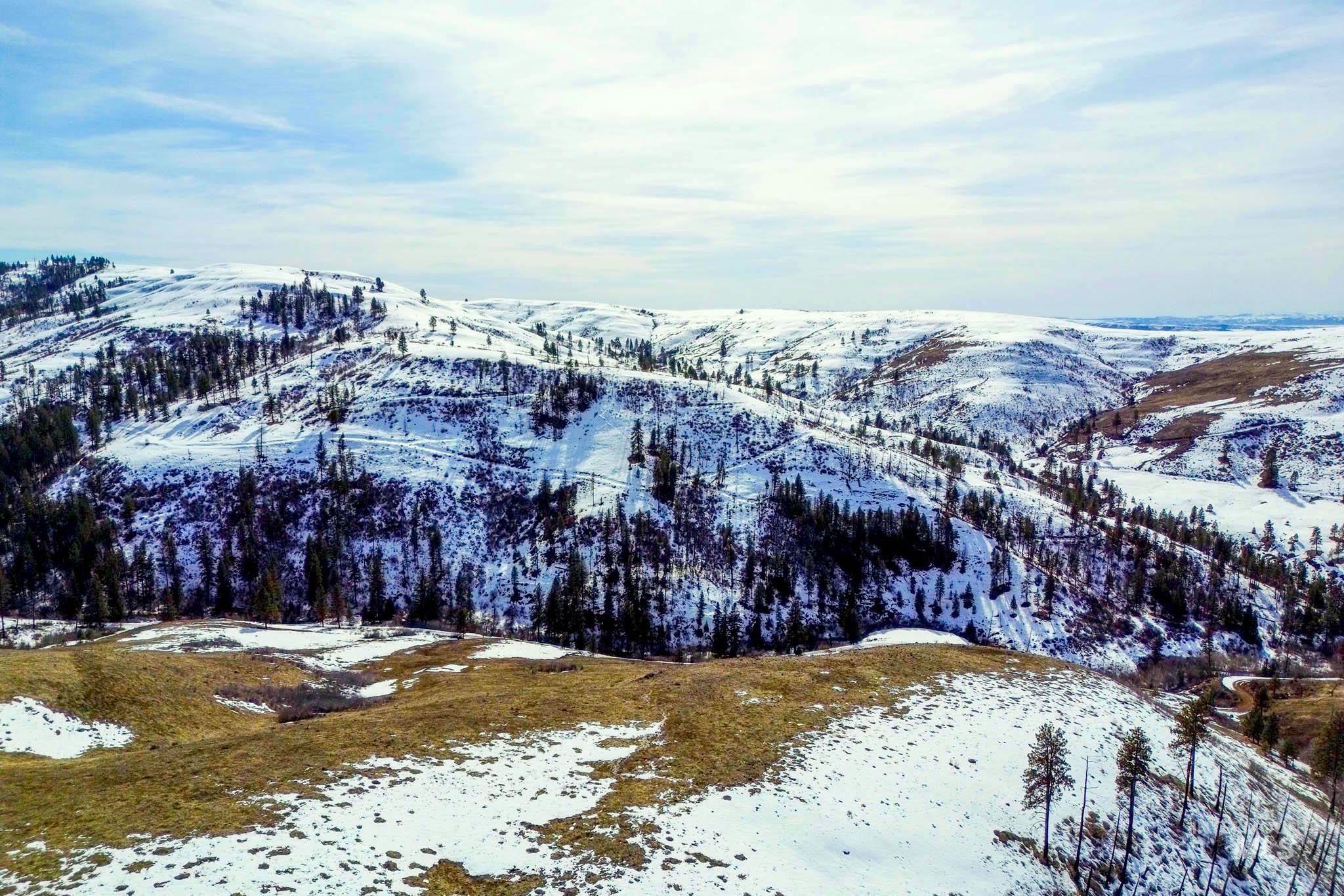 255-ac Fall Creek Road Council, ID 83612 - Photo 43 of 50