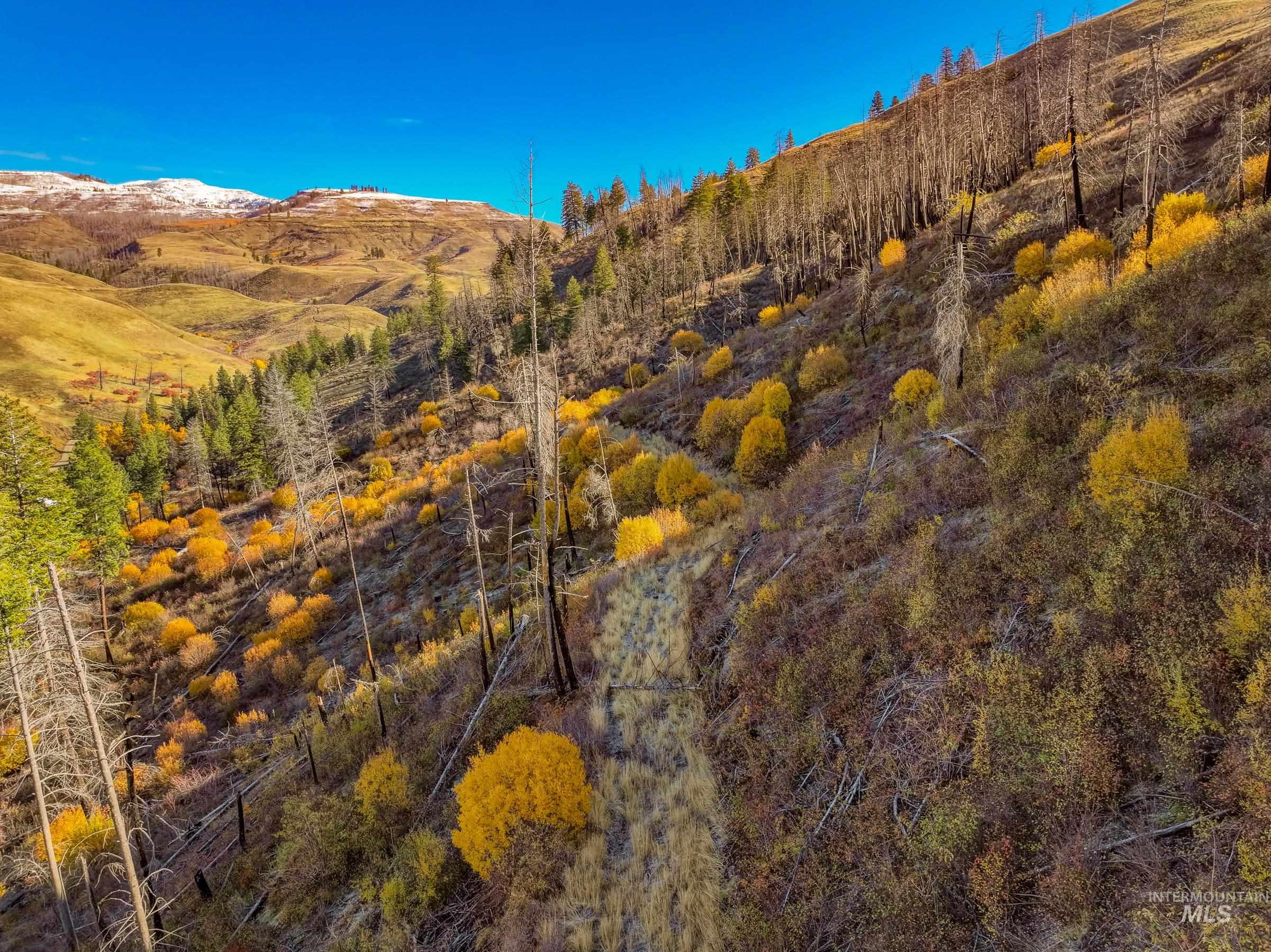 255-ac Fall Creek Road Council, ID 83612 - Photo 5 of 50 Mountain view