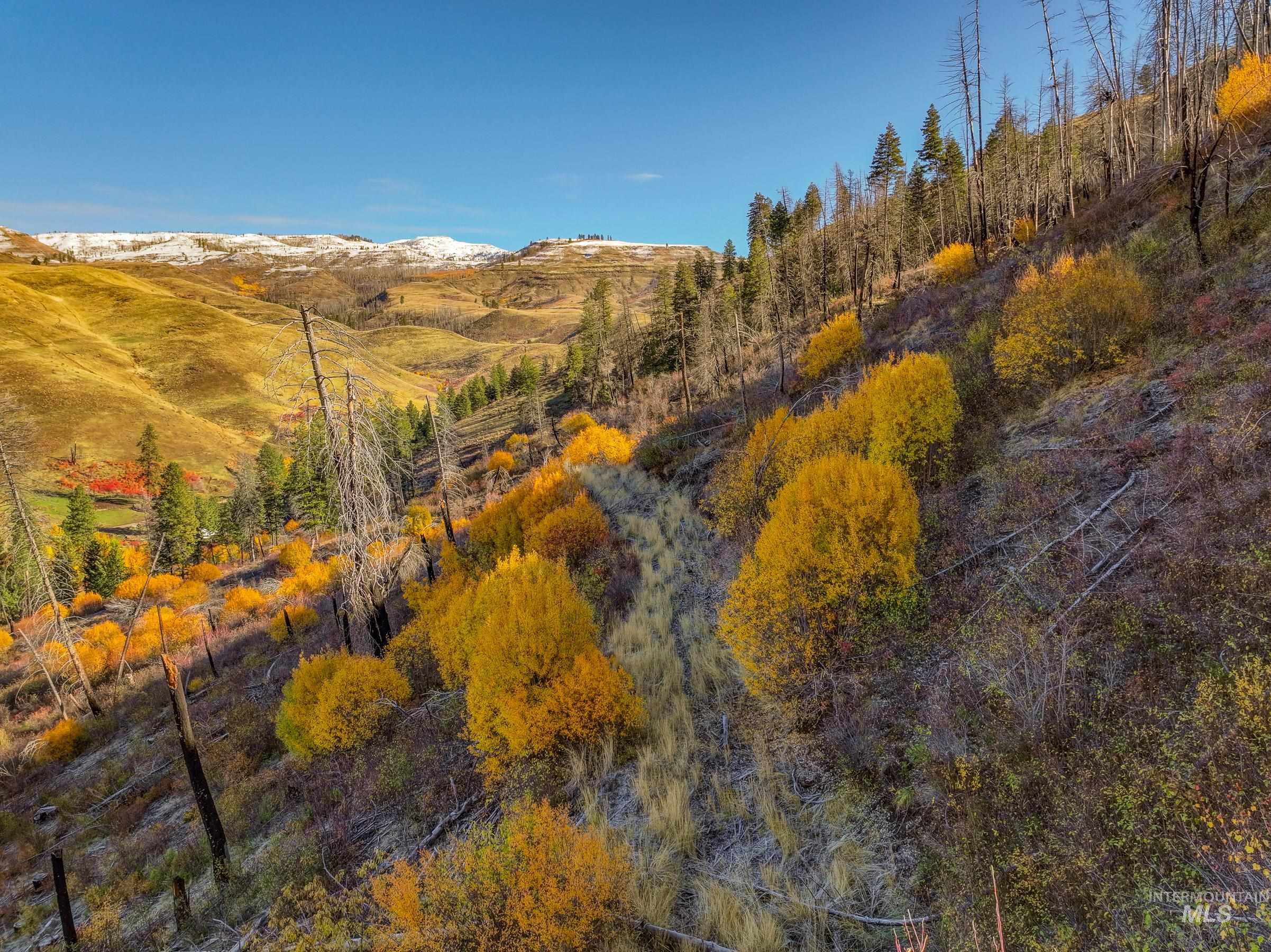 255-ac Fall Creek Road Council, ID 83612 - Photo 6 of 50 Mountain view