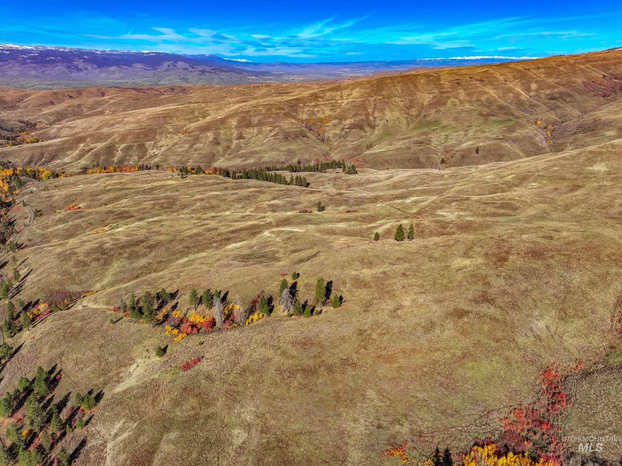255-ac Fall Creek Road Council, ID 83612 - Photo 7 of 50 View of mountain background
