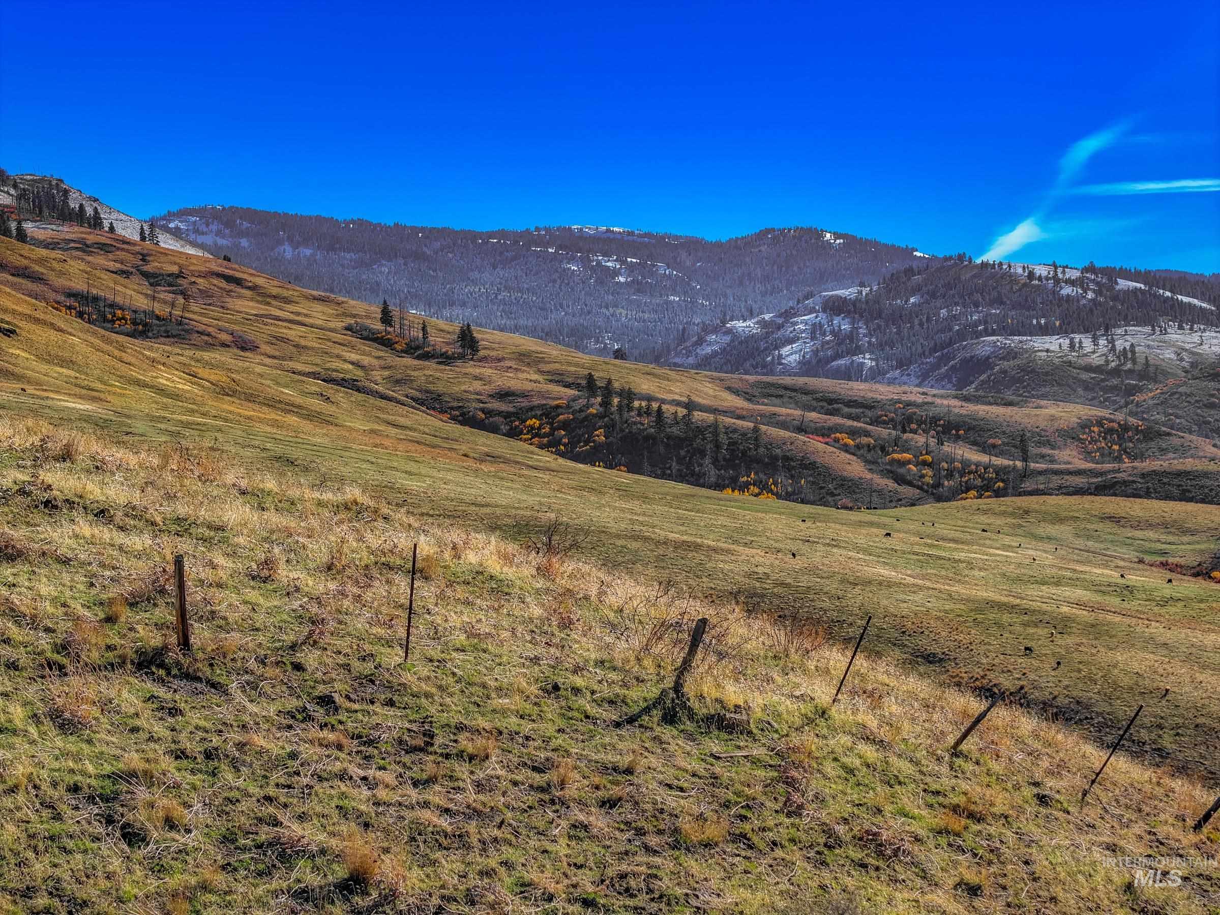 255-ac Fall Creek Road Council, ID 83612 - Photo 8 of 50 View of mountain backdrop featuring rural landscape