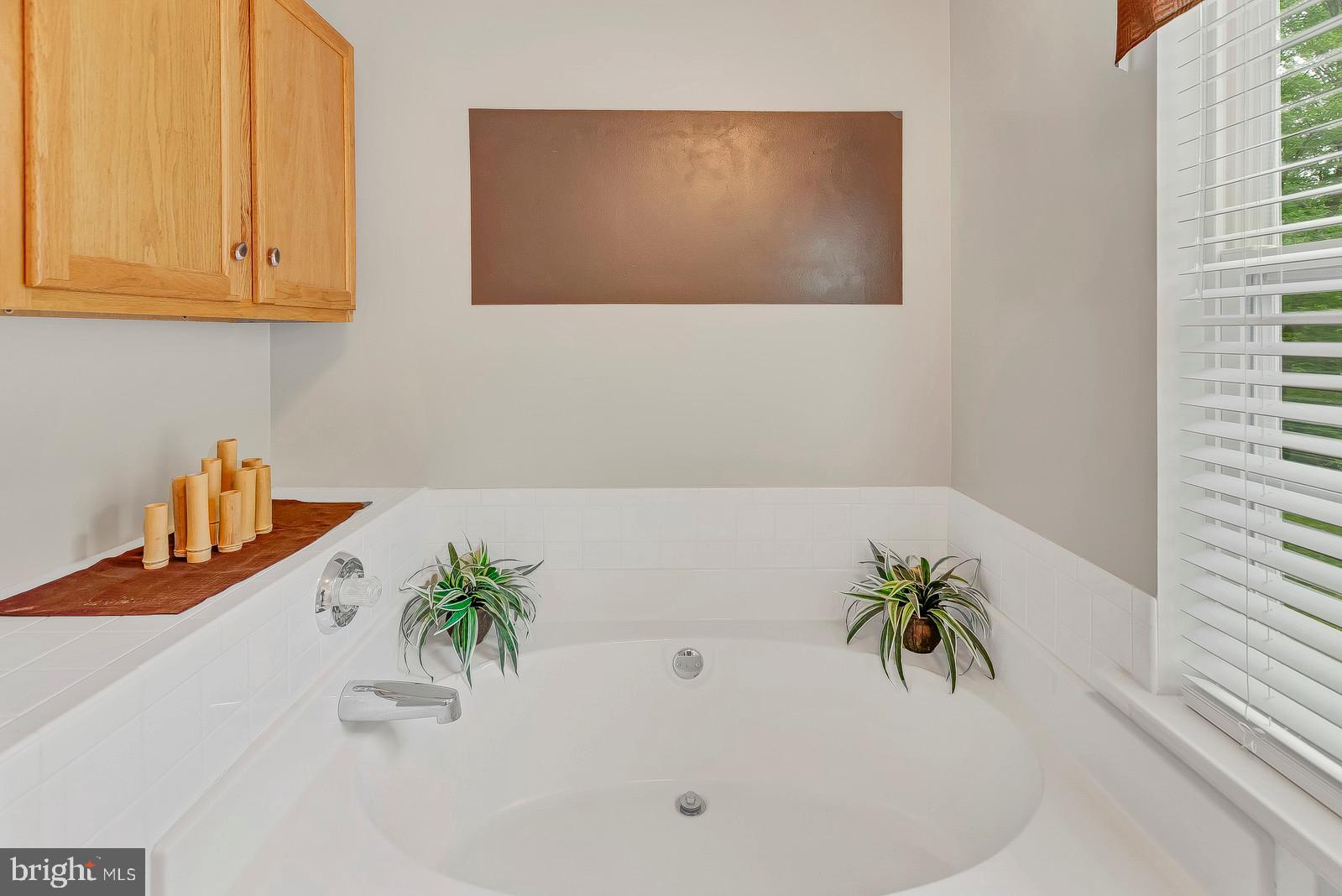 1849 Lottie Fowler Road Prince Frederick, MD 20678 - Photo 19 of 41 Soaking tub
