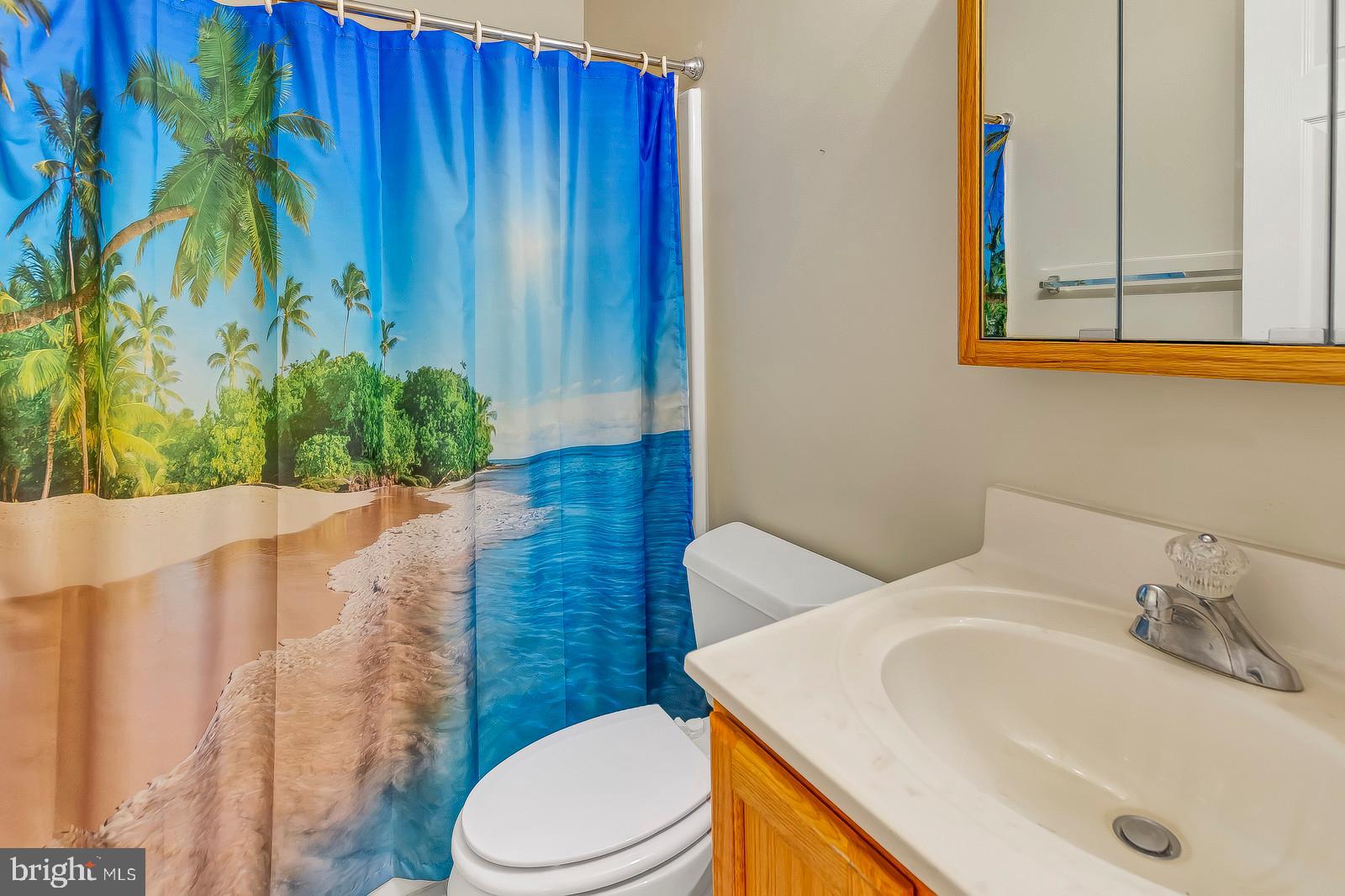 1849 Lottie Fowler Road Prince Frederick, MD 20678 - Photo 23 of 41 Upper-Level Full Bathroom