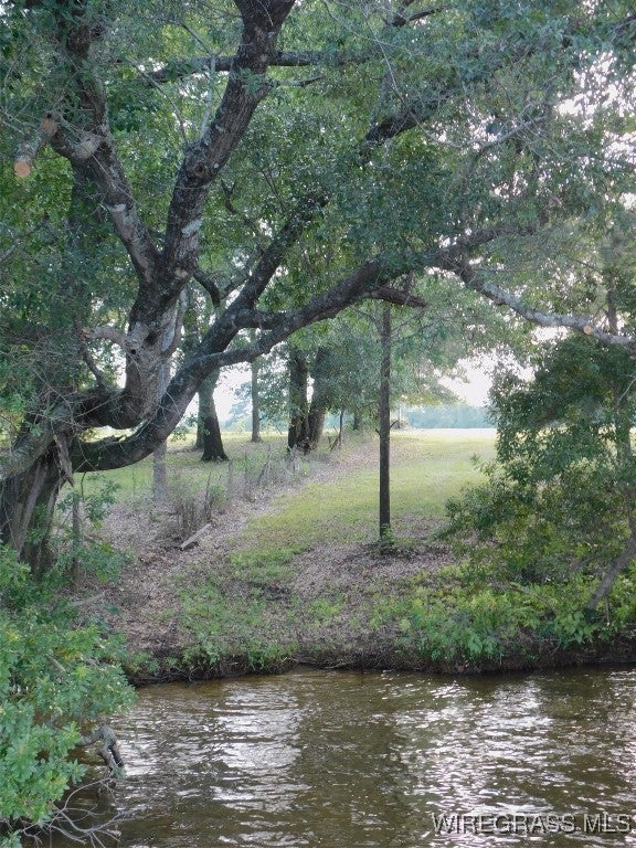 0 Lucy Road Andalusia, AL 36421 - Photo 8 of 12 Gallery Image 8