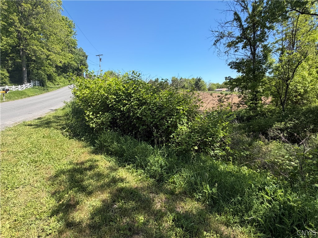 Townline Road Onondaga, NY 13215 - Photo 3 of 4