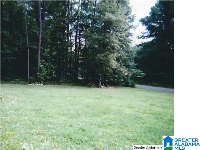 1499 Ray Wyatt Road Ashville, AL 35953 - Photo 6 of 29