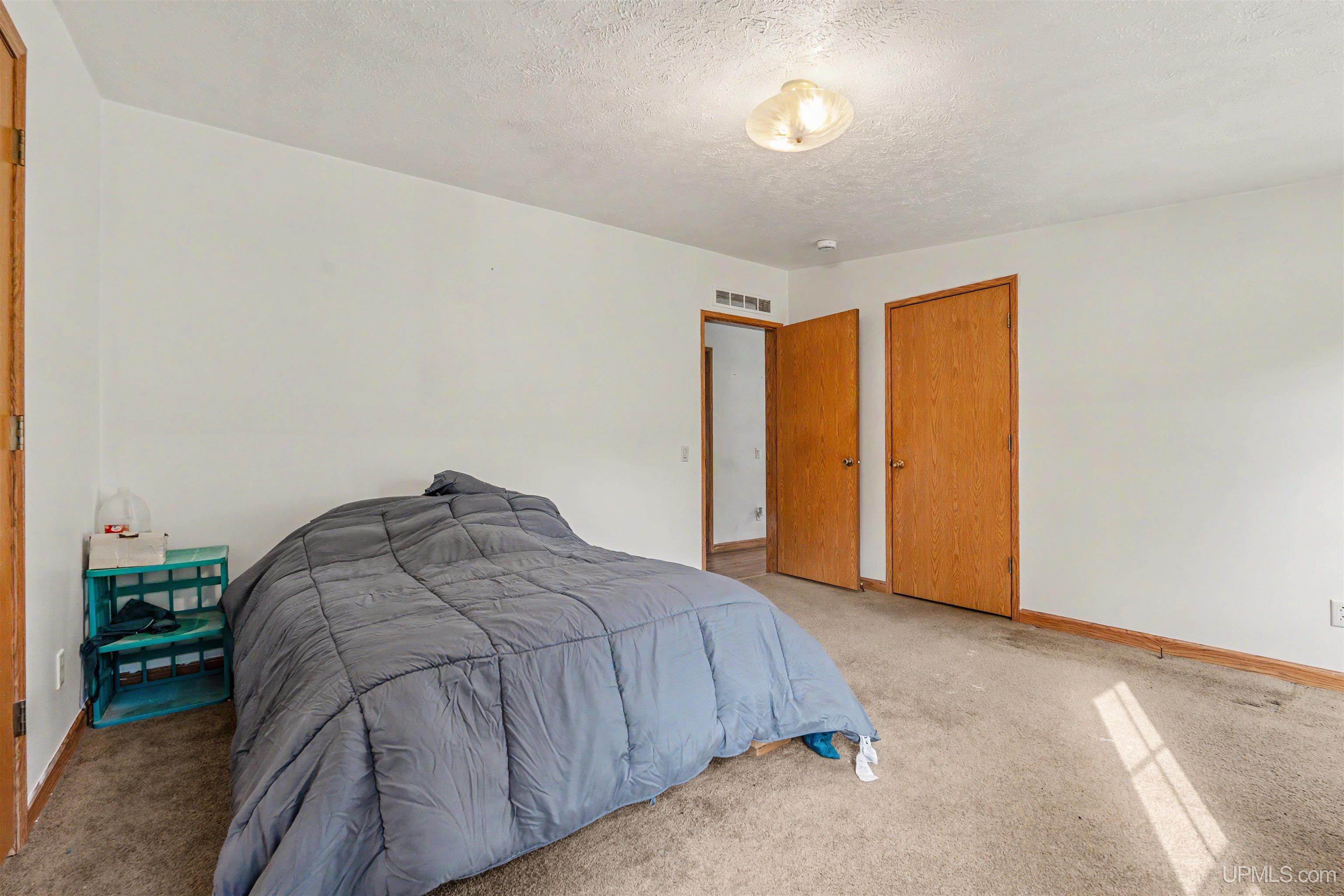 11038 Davidson Road Cooks, MI 49817 - Photo 15 of 57 Gallery Image 15