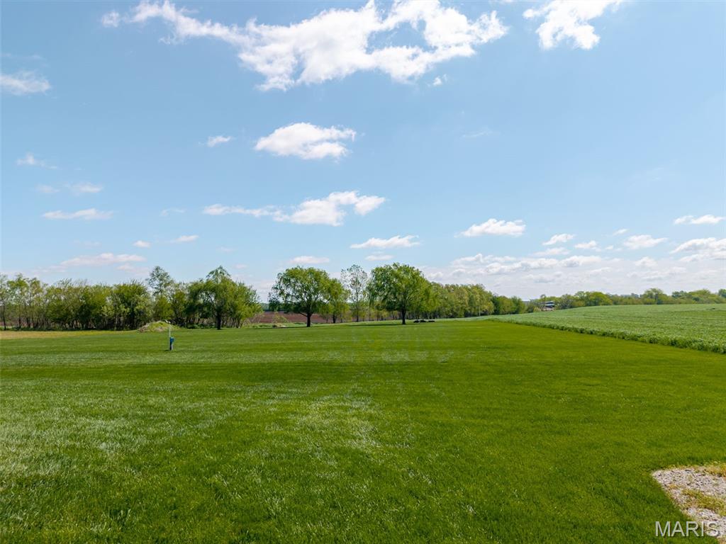 1050 Buckeye Crossing Highland, IL 62249 - Photo 54 of 57