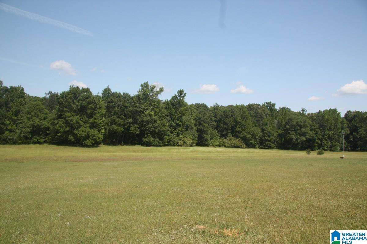 542 Alston Farm Road Columbiana, AL 35051 - Photo 16 of 21