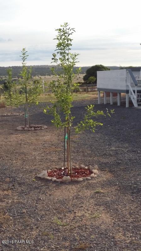 22450 North Docs Road Paulden, AZ 86334 - Photo 27 of 39 FruitTrees Blooming