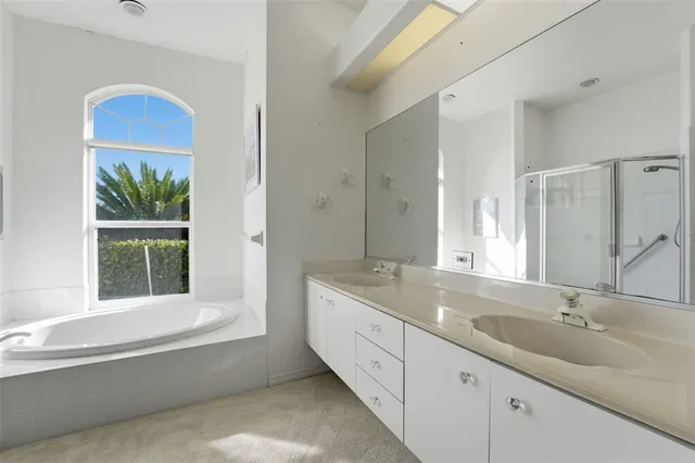 a bathroom with a tub a sink and a large mirror