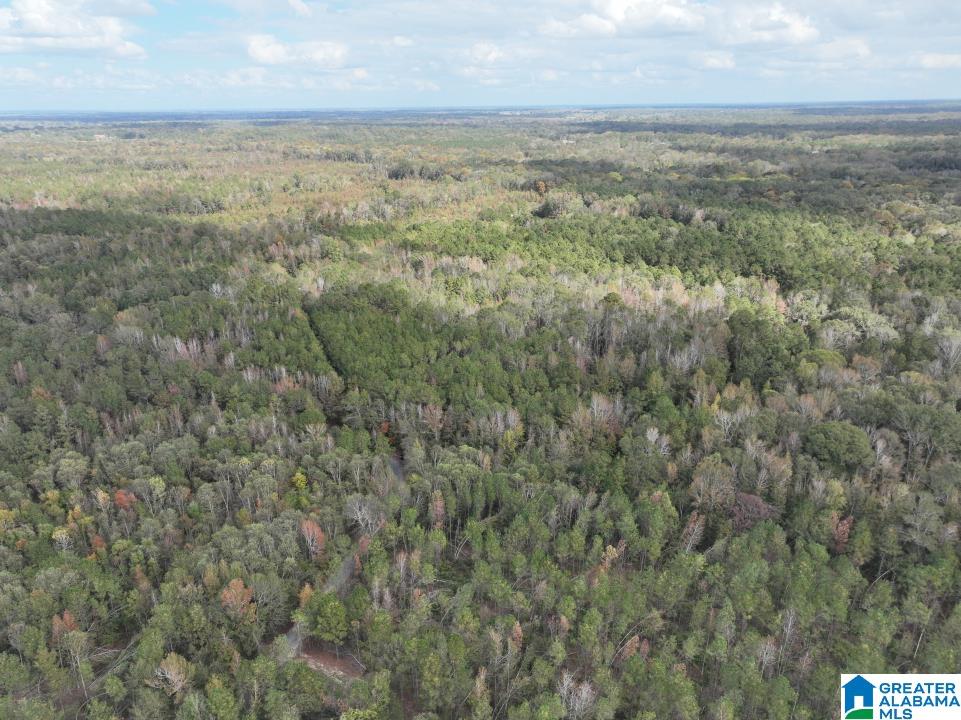 119 Plantation Road, Unit 1 Hope Hull, AL 36043 - Photo 16 of 35