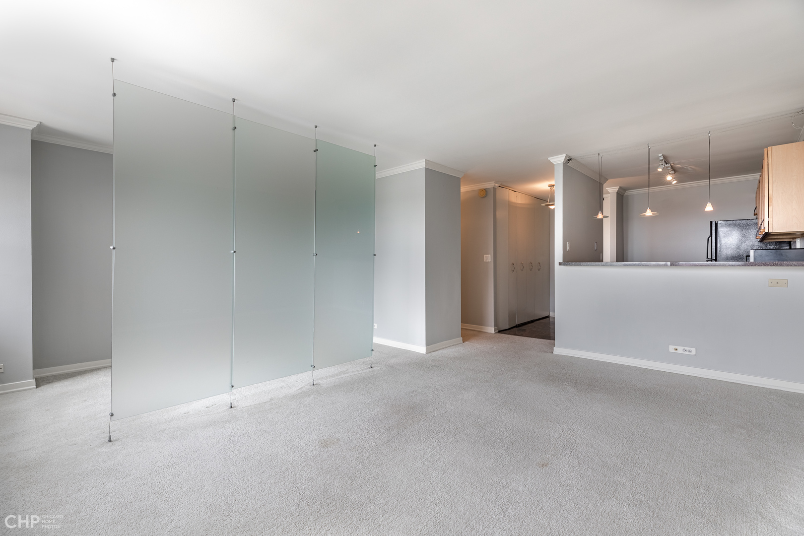 655 West Irving Park Road, Unit 1611 Chicago, IL 60613 - Photo 5 of 19