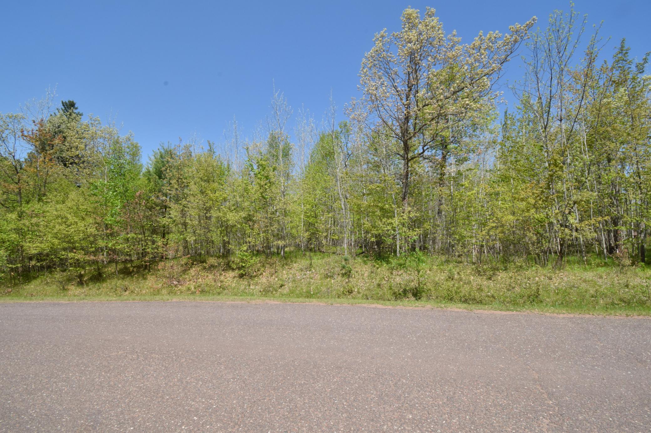 Lot 10 Fremsted Road Danbury, WI 54830 - Photo 10 of 28