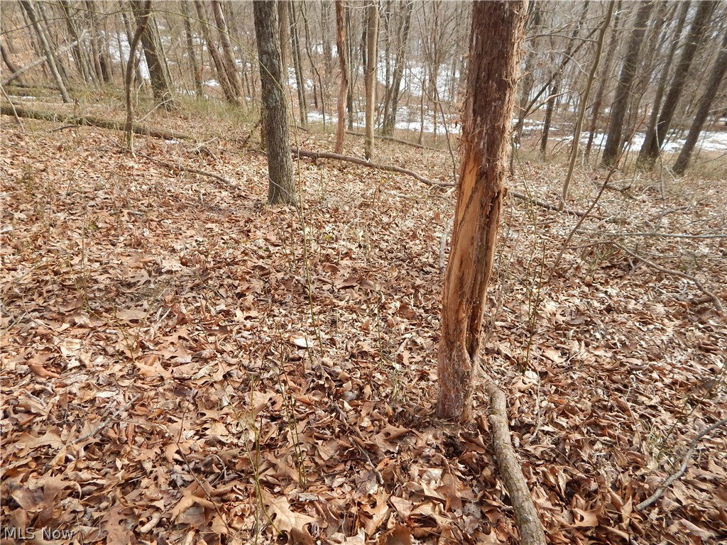 Fingerboard Road Big Springs, WV 26137 - Photo 1 of 21