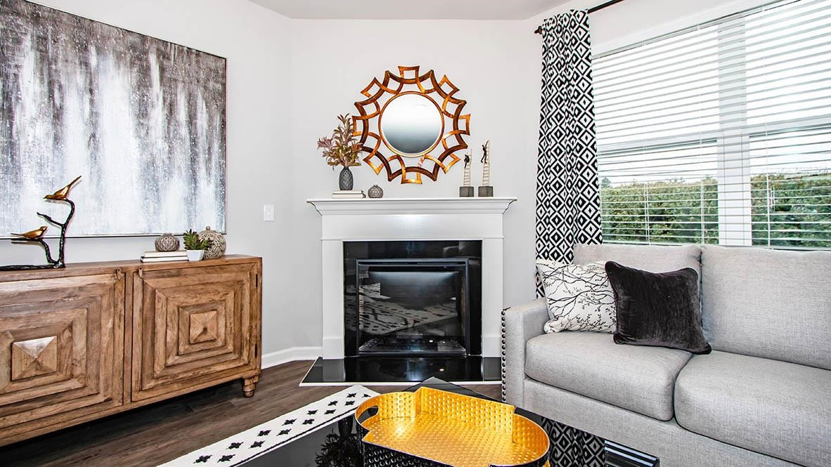 1734 Carter Daniel Drive Graham, NC 27253 - Photo 11 of 23 a living room with furniture and a fireplace