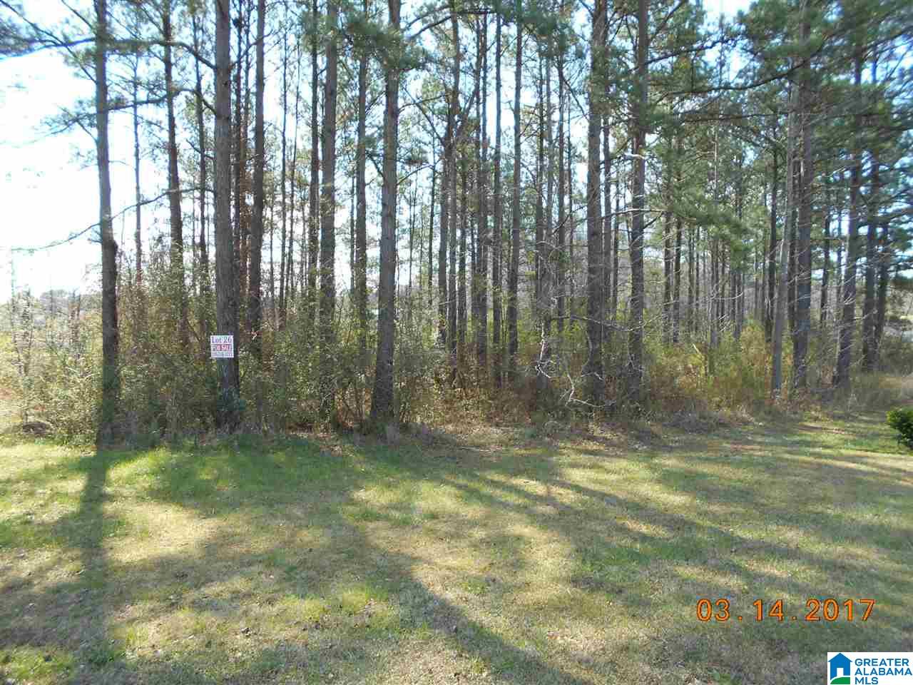 Montcrest Street South, Unit 26 & 77 Cullman, AL 35057 - Photo 3 of 14