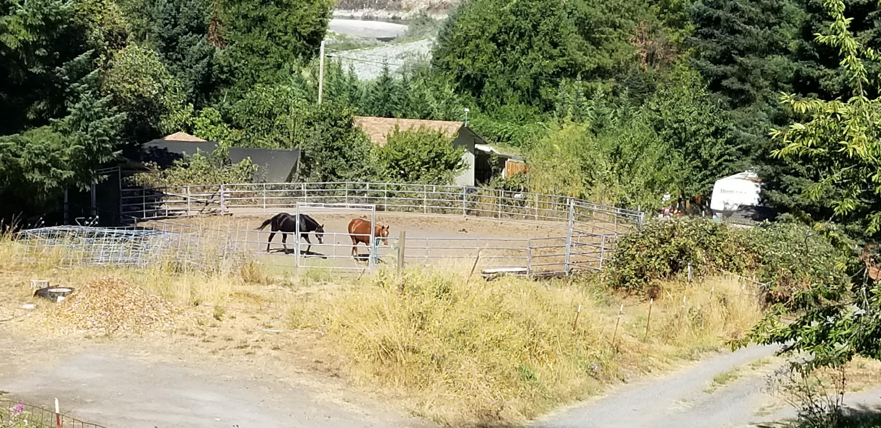 2900 Highway 96 Willow Creek, CA 95573 - Photo 29 of 51