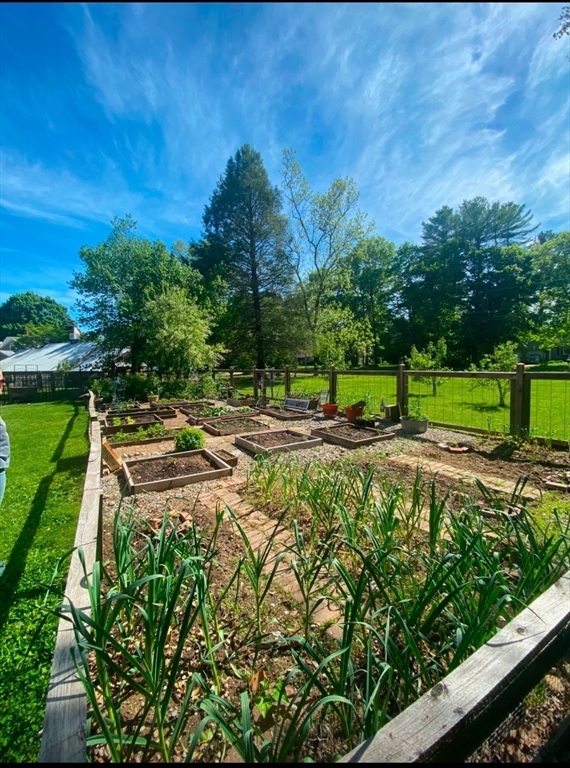 85 Summit Street Halifax, MA 02338 - Photo 36 of 42 a view of yard with swimming pool and green space