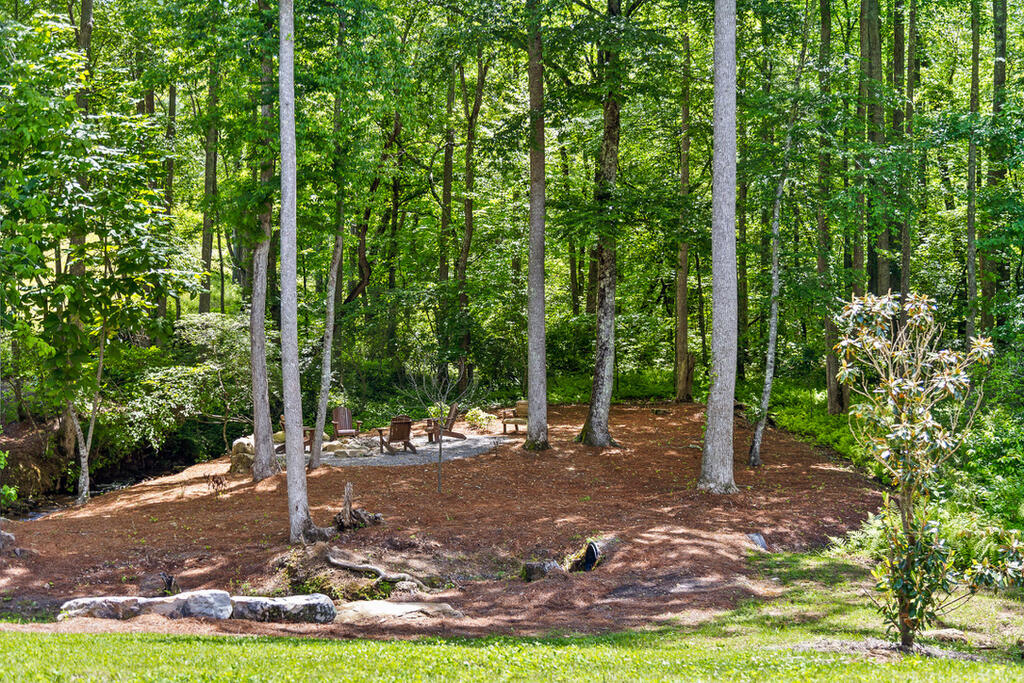Lot 331 Twisted Oak Road Talking Rock, GA 30175 - Photo 34 of 38 Gallery Image 34