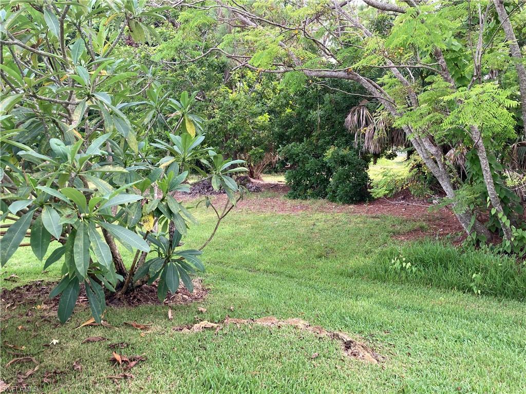 32 Lemans Drive Naples, FL 34112 - Photo 41 of 49 a backyard of a house with lots of green space