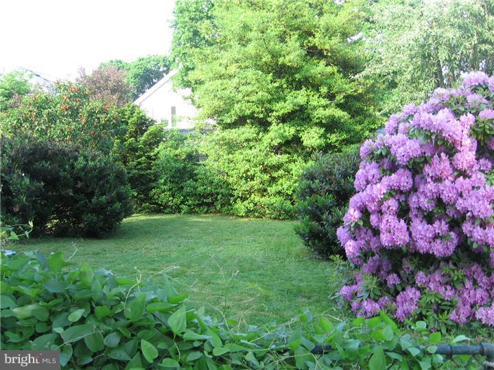 165 Shelbourne Road Havertown, PA 19083 - Photo 22 of 24