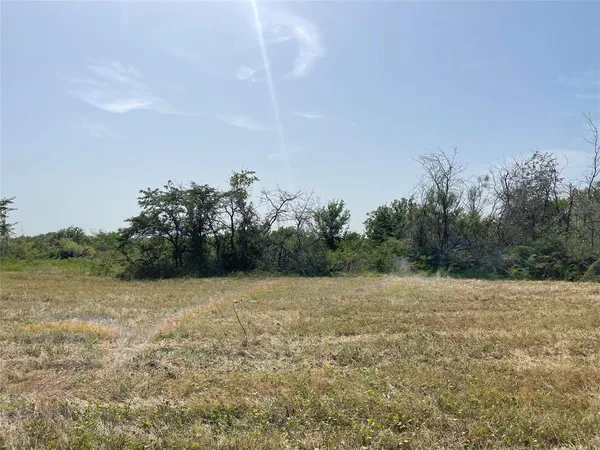 a view of a field with trees in background