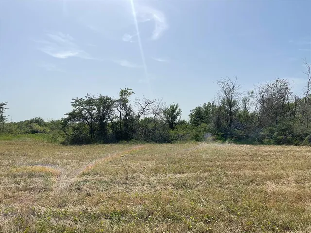 a view of a field with trees in background