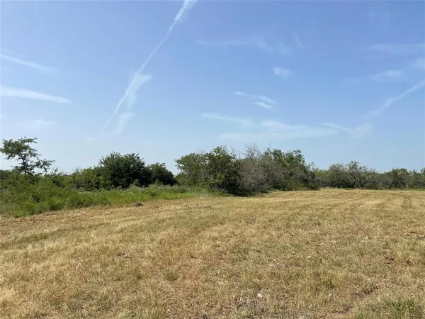 a view of a field with an ocean
